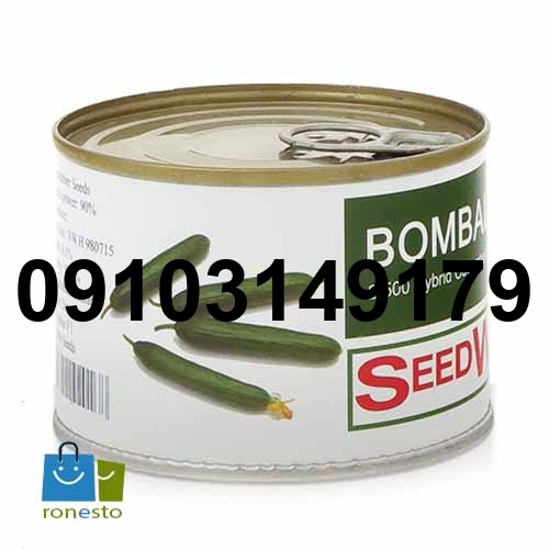 خرید بذر خیار سبز