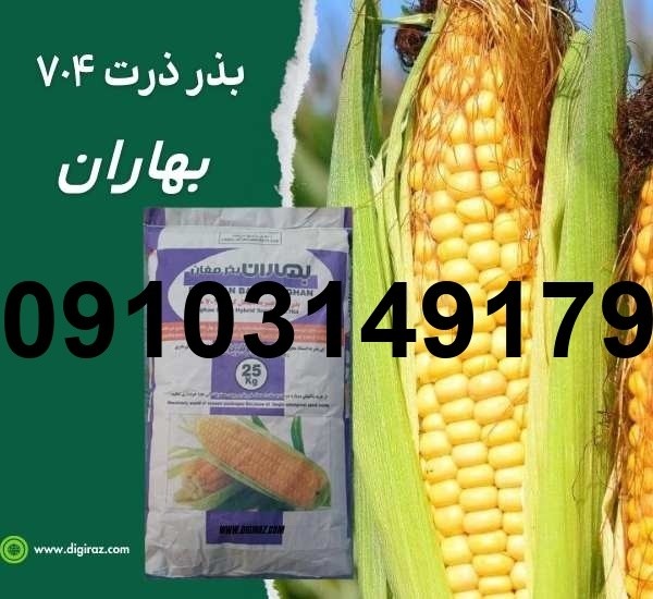 قیمت بذر ذرت کیلویی - تصویر 3