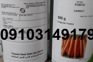 قیمت بذر هویج فورتو