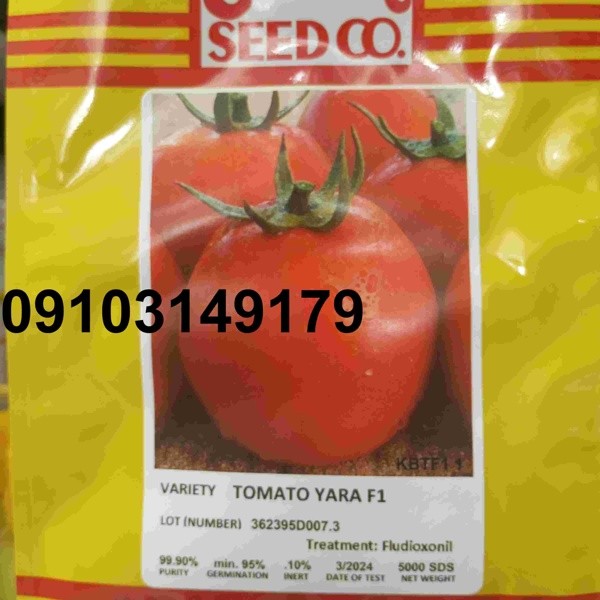 قیمت بذر گوجه یارا - تصویر 6
