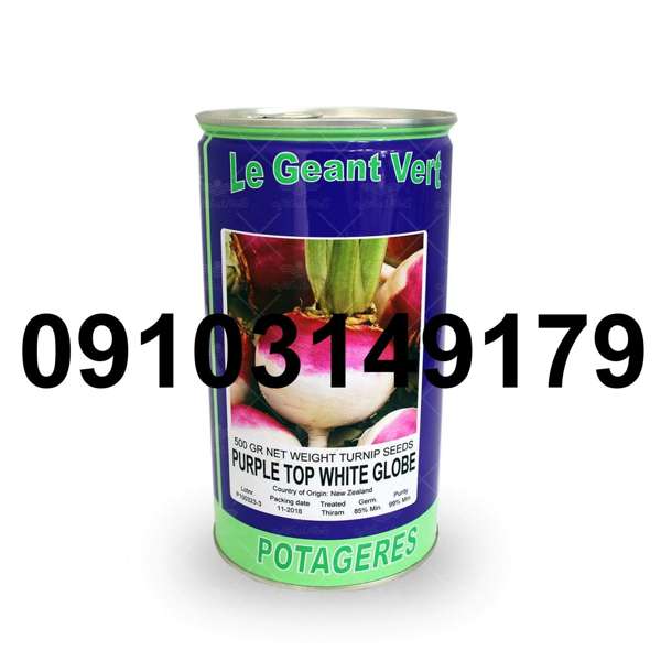 قیمت هر کیلو بذر شلغم