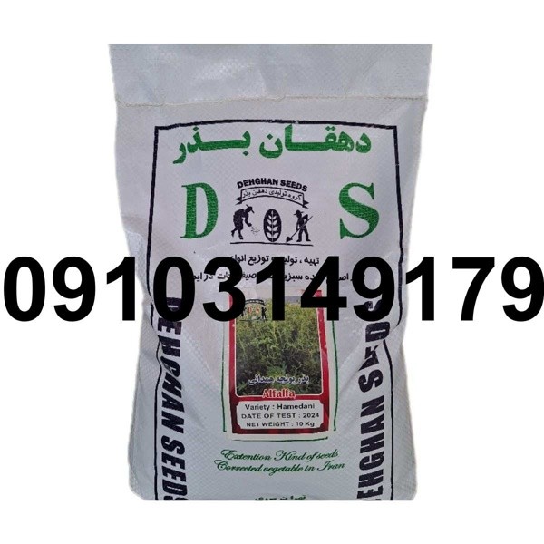 قیمت هر کیلو بذر یونجه همدانی - تصویر 3